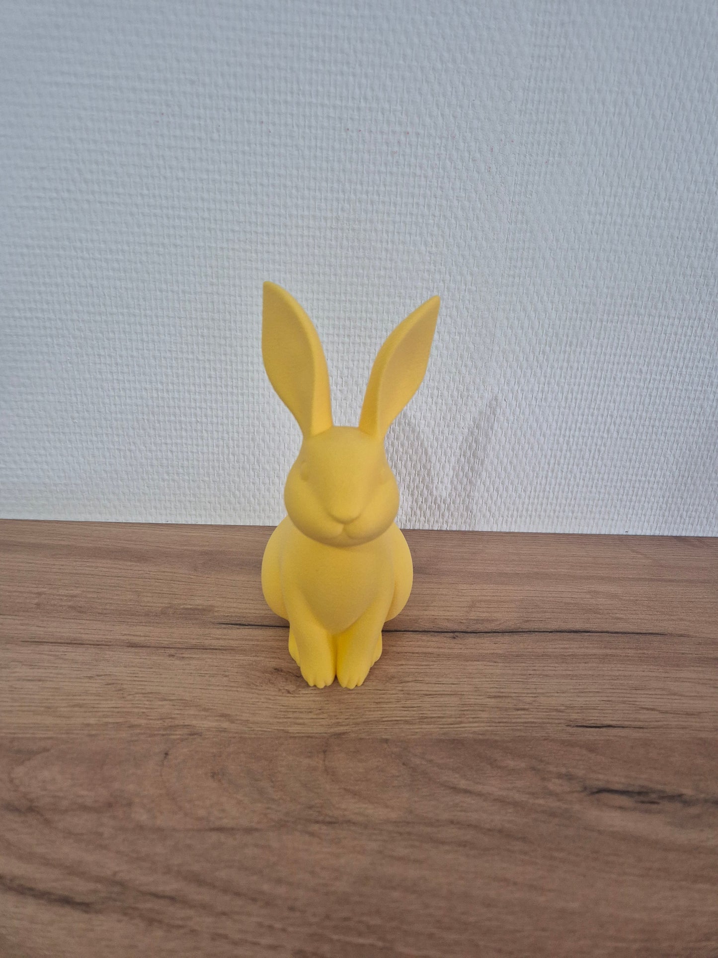 Lapin Forestier